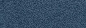 Avio 643  Colour Leather from Collection, Manhattan leather collection
