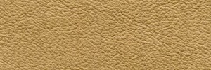 Mastice 676  Colour Leather from Collection, Manhattan leather collection