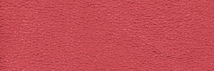Lipstick 1308 Colour Leather from Epic, Studio leather collection