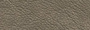 Shark 1311 Colour Leather from Epic, Studio leather collection