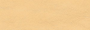 751 Champagne Colour Leather from Atmosphere, Studio leather collection
