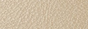 764 Stardust Colour Leather from Atmosphere, Studio leather collection