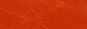 LAGUNA Burnt Orange Colour Leather from Collection, Laguna  leather collection