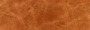 LAGUNA Tan Colour Leather from Collection, Laguna  leather collection