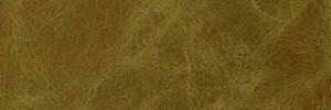 LAGUNA Avocado  Colour Leather from Collection, Laguna  leather collection
