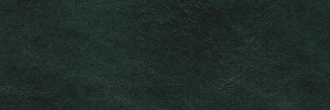 Nordic Green 7013 Colour Leather from Boston, Boston leather collection