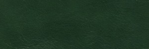 Racing Green 821  Colour Leather from Mayfair, Timeless leather collection