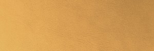 Camel 7007 Colour Leather from Boston, Timeless leather collection