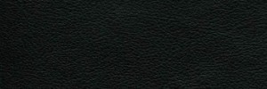 Black Colour Leather from Hotel, Hotel  leather collection