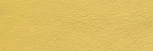 Bumblebee Colour Leather from Hotel, Hotel  leather collection