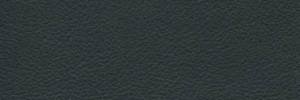 Charcoal Colour Leather from Hotel, Hotel  leather collection