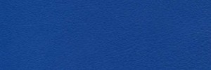 Cobalt Colour Leather from Hotel, Hotel  leather collection