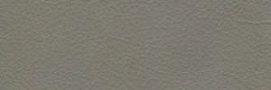 Fossil Colour Leather from Hotel, Hotel  leather collection
