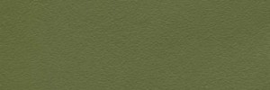 Moss Colour Leather from Hotel, Hotel  leather collection
