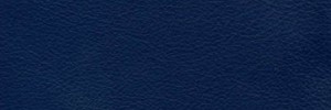 Prussian Colour Leather from Hotel, Hotel  leather collection