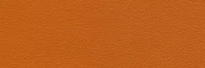 Pumpkin Colour Leather from Hotel, Hotel  leather collection