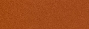 Rust Colour Leather from Hotel, Hotel  leather collection