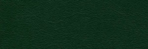 Seaweed Colour Leather from Hotel, Hotel  leather collection