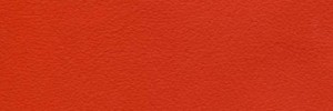 Tangerine Colour Leather from Hotel, Hotel  leather collection