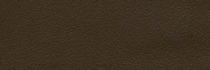 Umber Colour Leather from Hotel, Hotel  leather collection