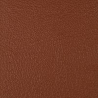 collections photos