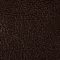 collections photos