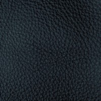 collections photos