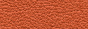  433 Vitamin Colour Leather from Collection, Ocean leather collection