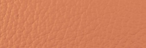 414 Terracotta Colour Leather from Collection, Ocean leather collection