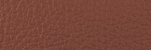437 Bear Colour Leather from Collection, Ocean leather collection