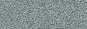 Inox 671  Colour Leather from Manhattan, Manhattan leather collection